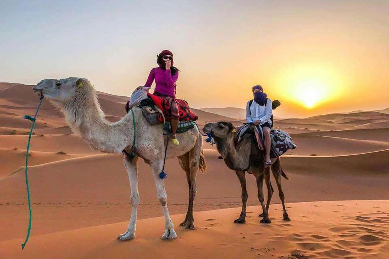 Camp Sahara Dunes Hotel M'Hamid Eksteriør billede