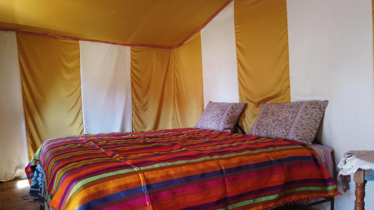 Camp Sahara Dunes Hotel M'Hamid Eksteriør billede